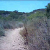 kubler > Sycamore Sage Trail