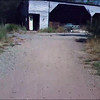 kubler > Sycamore Videos photo